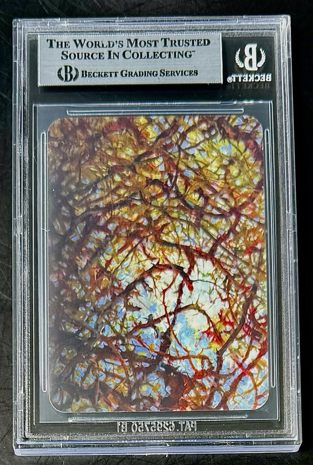 BGS 9 2024 Sorcery Contested Realms Arthurian Legends - Briar Patch - Foil