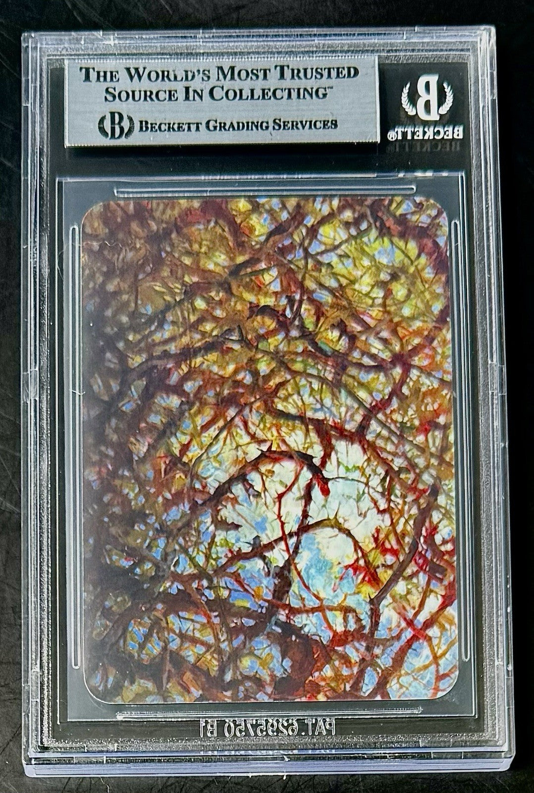 BGS 9 2024 Sorcery Contested Realms Arthurian Legends - Briar Patch - Foil
