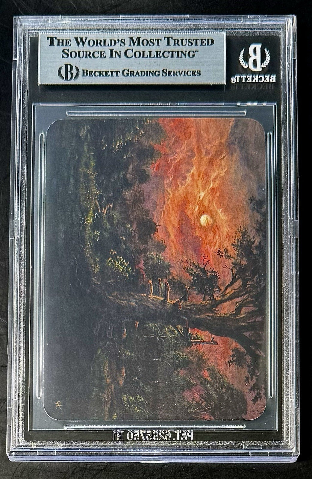BGS 9 2024 Sorcery Contested Realms Arthurian Legends - Treetop Hideout - Foil